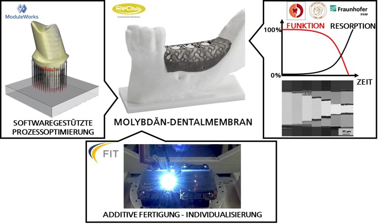 Innovation in Project AMore DentaL